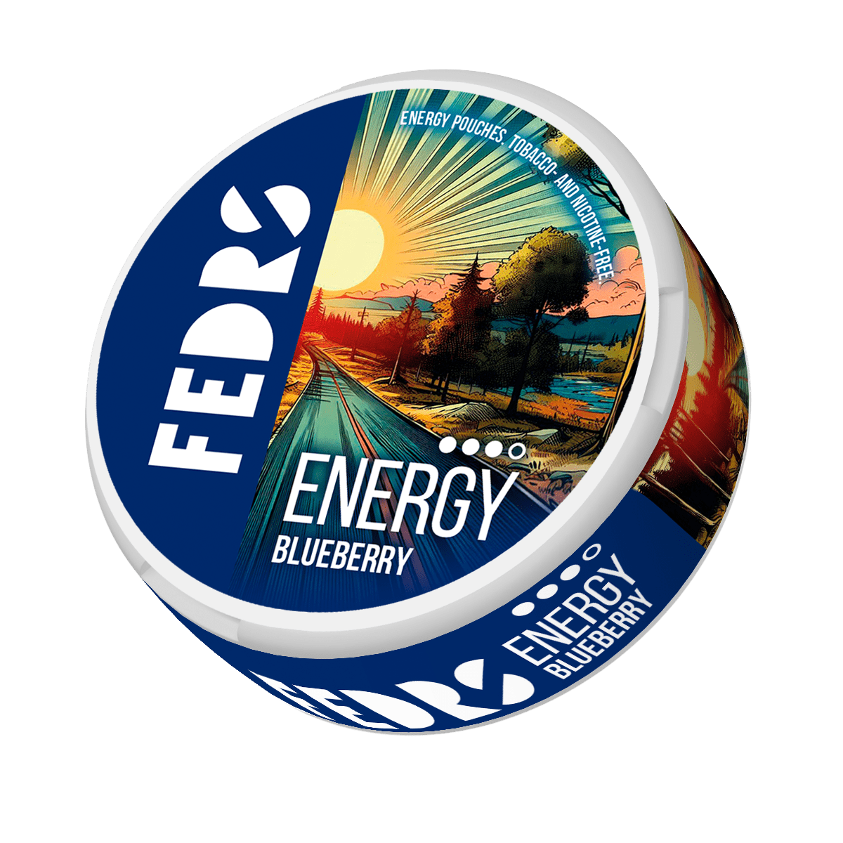 Fedrs Energy Blueberry